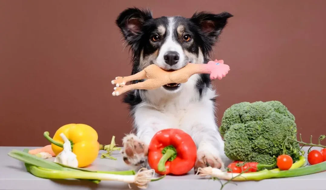 comida-que-cachorro-pode-comer-