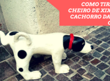 COMO TIRAR O CHEIRO DE XIXI DE CACHORRO DA SUA CASA